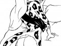 snowleopard.jpg
